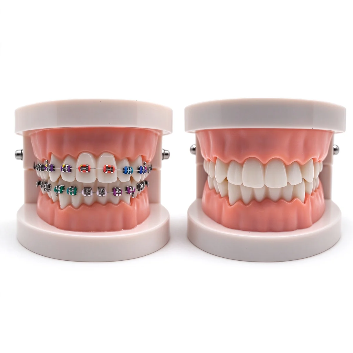 Dental Standard Model 28 Tooth Dentistry Plastic Teeth Model For Dentist Students Kids Studying Education Display
