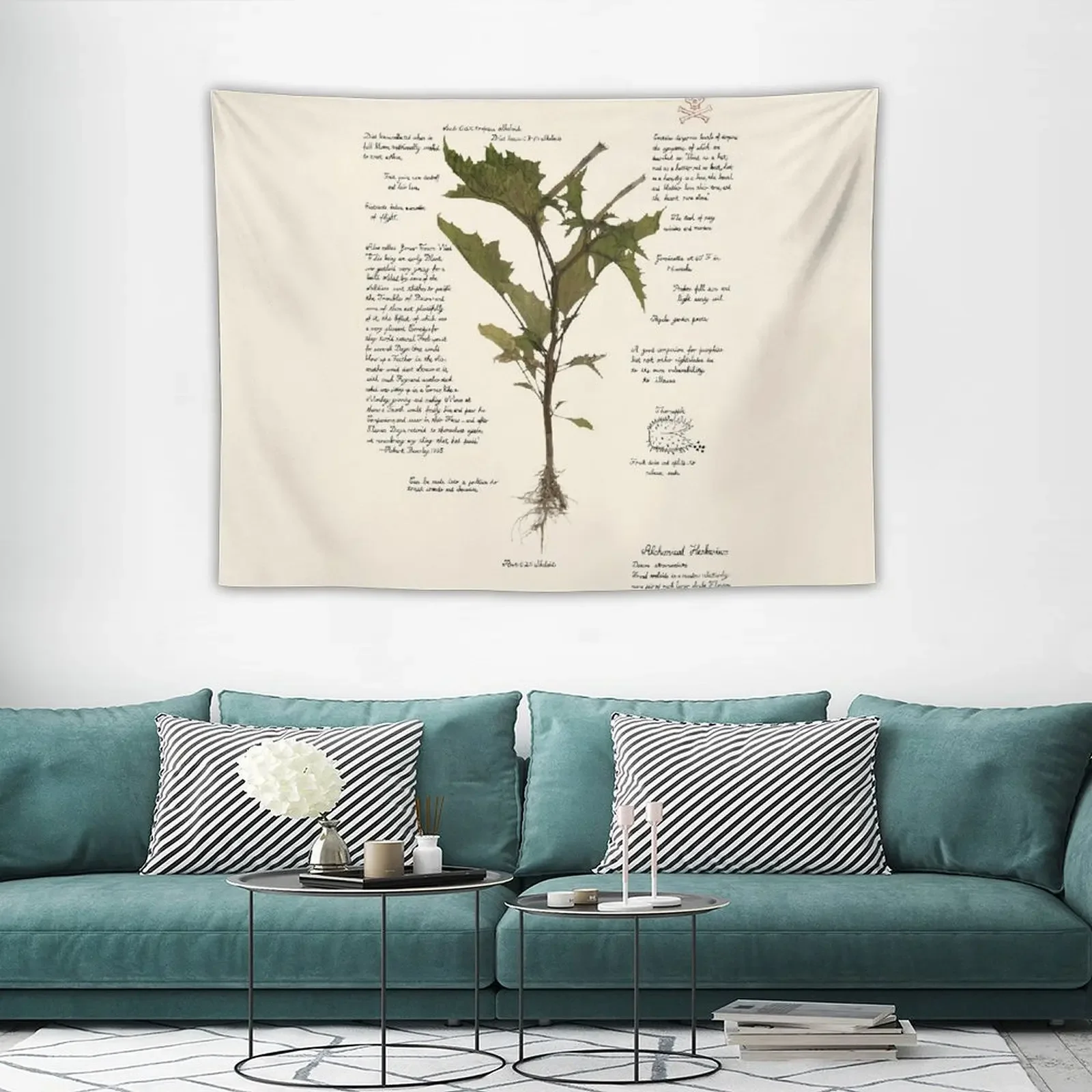 Devil's Snare - Datura stramonium Tapestry Decoration Wall Things To The Room Cute Room Things Tapestry