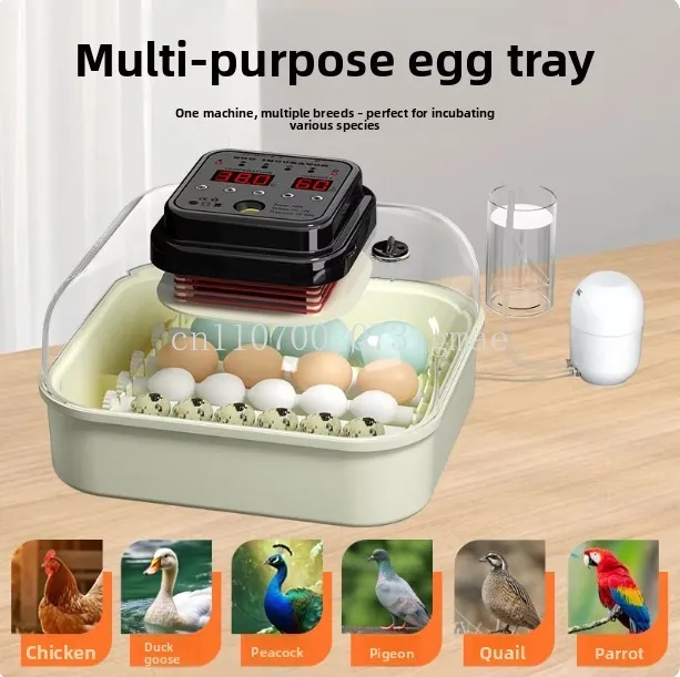 30 Egg Incubator with Humidity Display, Egg Candler, Automatic Egg Turner, for Hatching Chickens