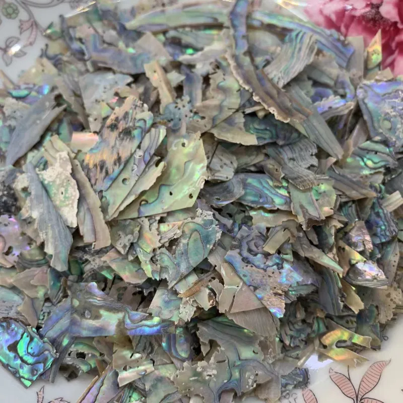 50g/100g New Zealand Abalone Shell Nail Gems - Premium Colored Shell Fragments, Natural DIY Nail Art Decor for Oceanic Manicures