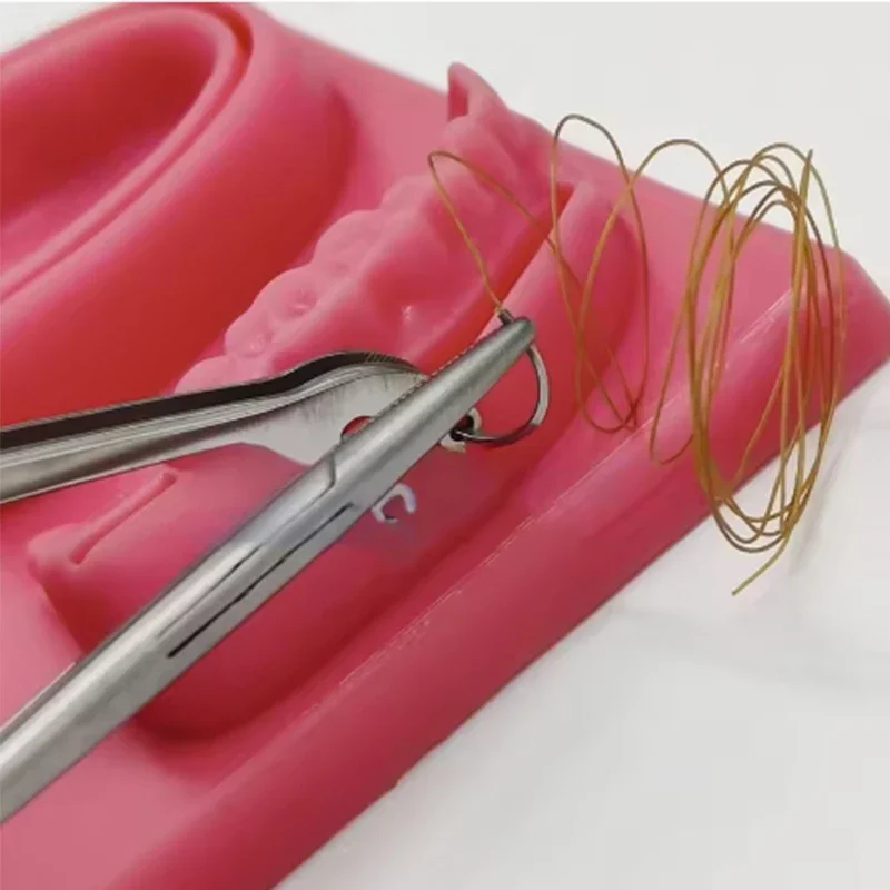 Stainless Steel Suture Corn Tweezer single hole and Double Hole Tip Dental Surgical Tool for Precise Stitching & Operation