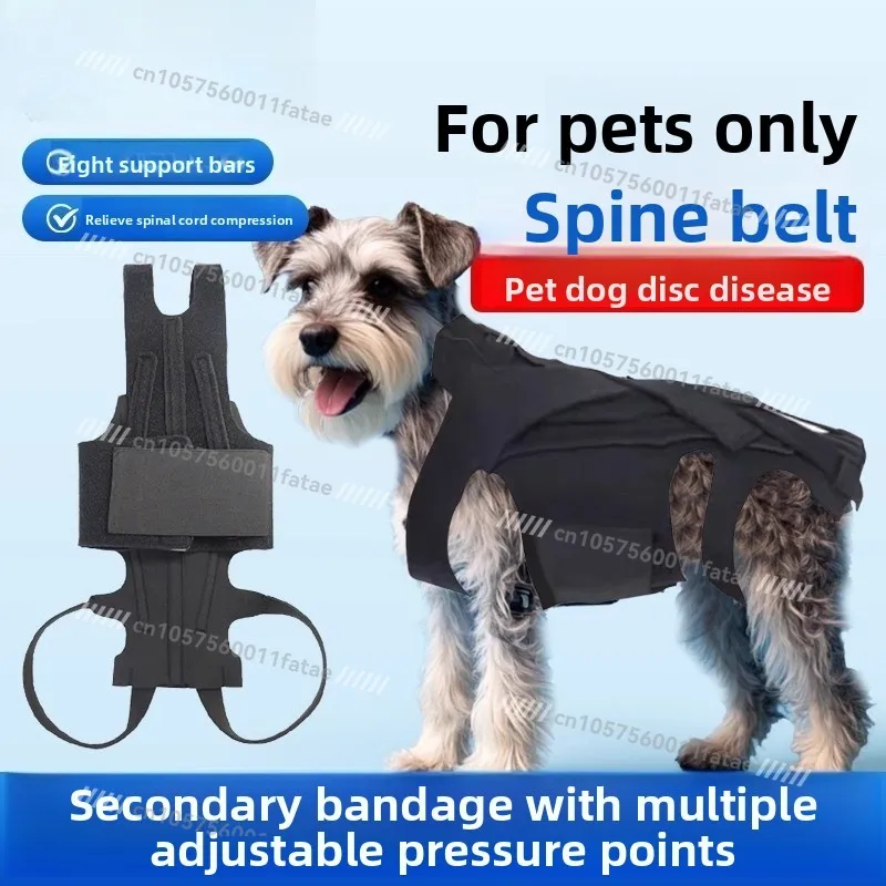 Pet Spine Belt, Dog Back Fixing Brace