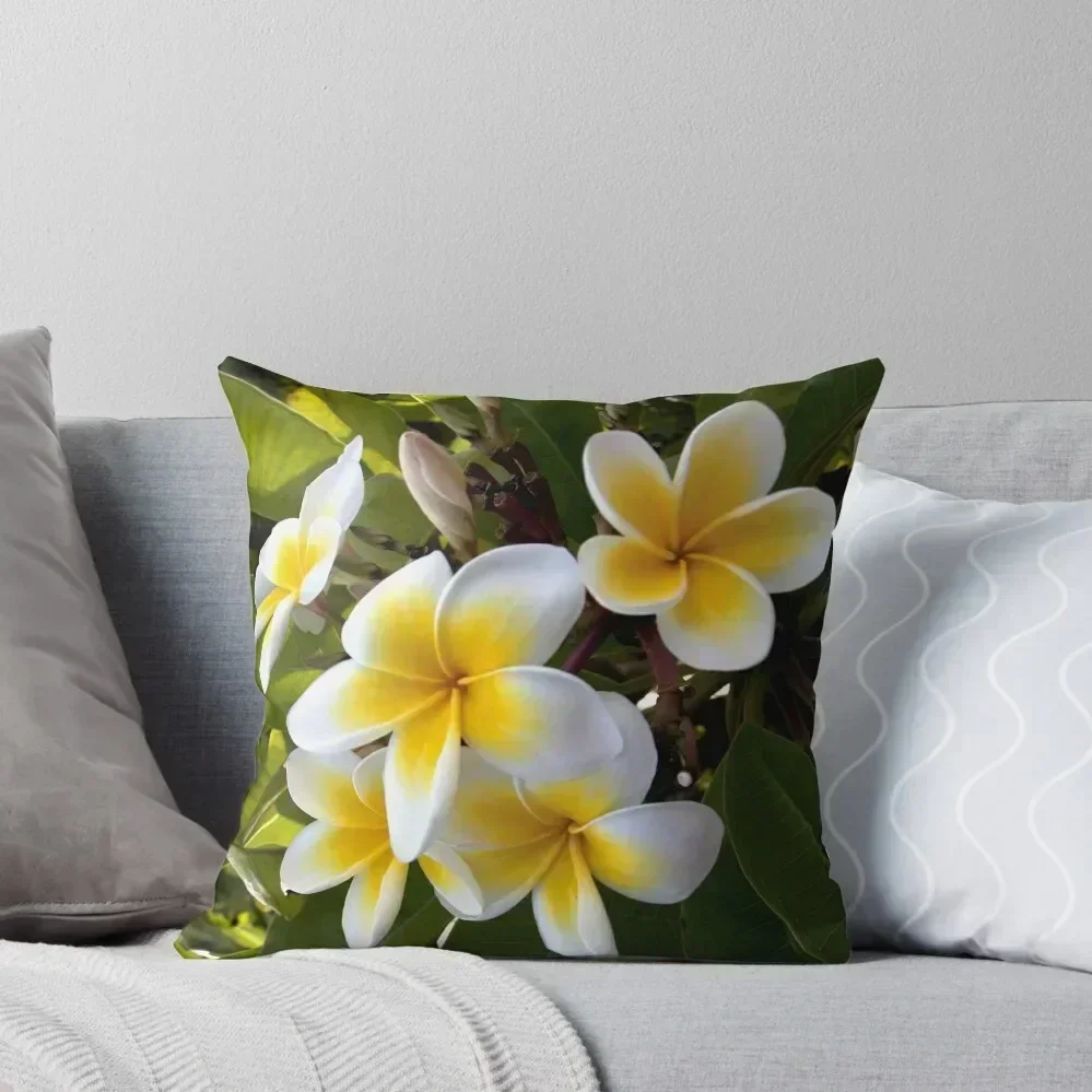 

Frangipani Blossoms Throw Pillow Decorative Cushion Cover autumn pillowcase Bed pillowcases Elastic Cover For Sofa pillow