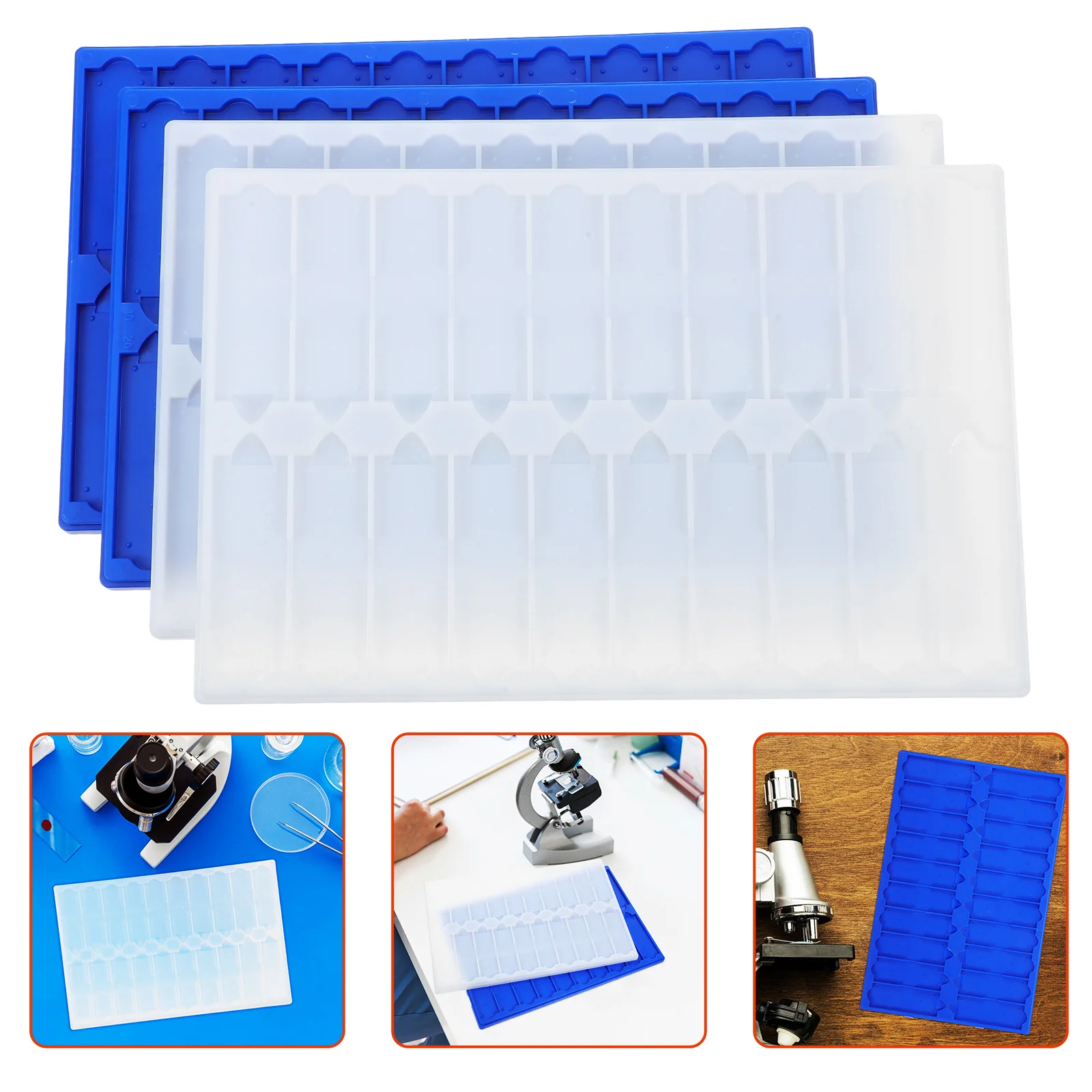 

4 Pcs Plastic Slide Holder Microscope Storage for Slides Microscopy Specimen Collection
