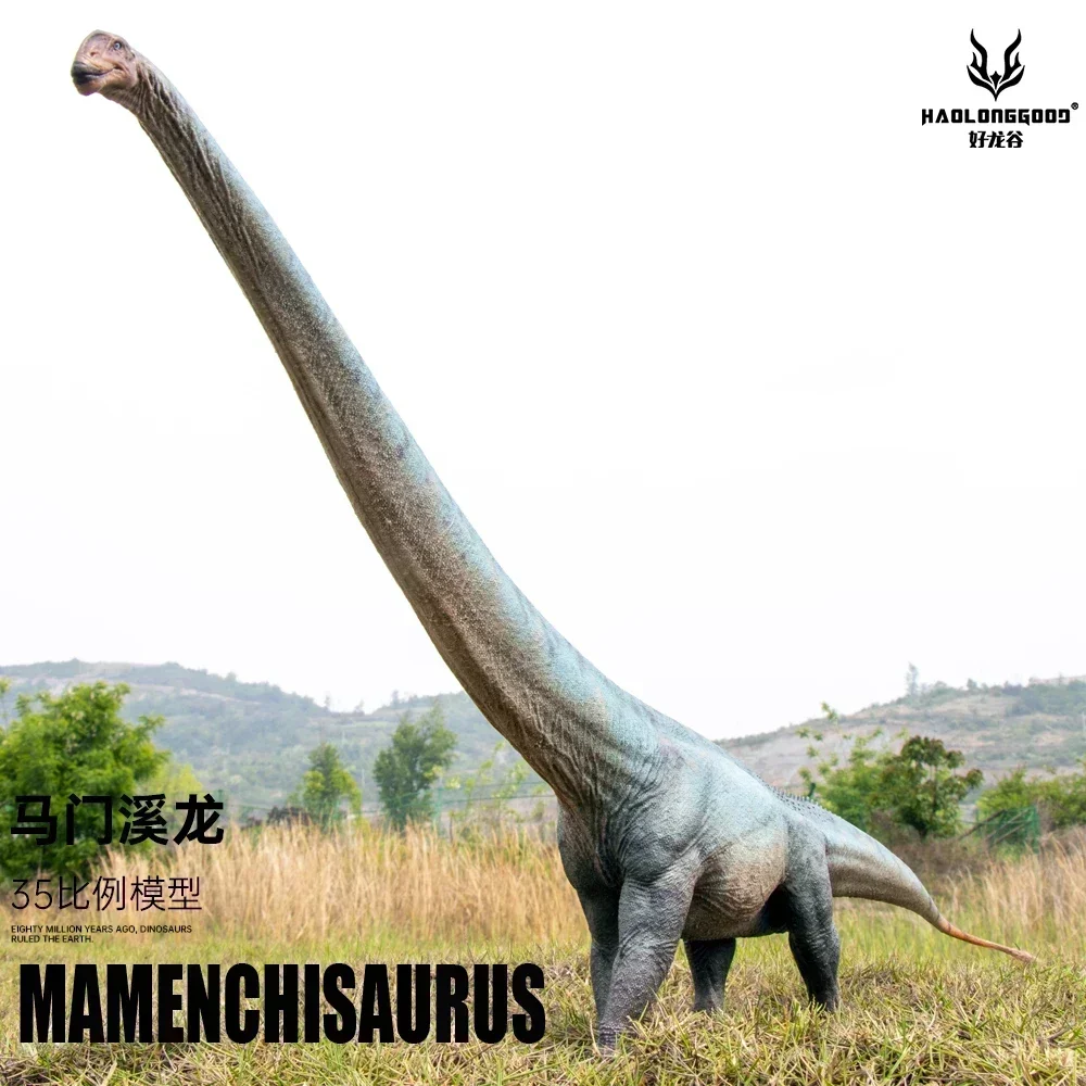 1:35 Haolonggood Mamenchisaurus 공룡 장난감, 고대 선사 시대 동물 모델