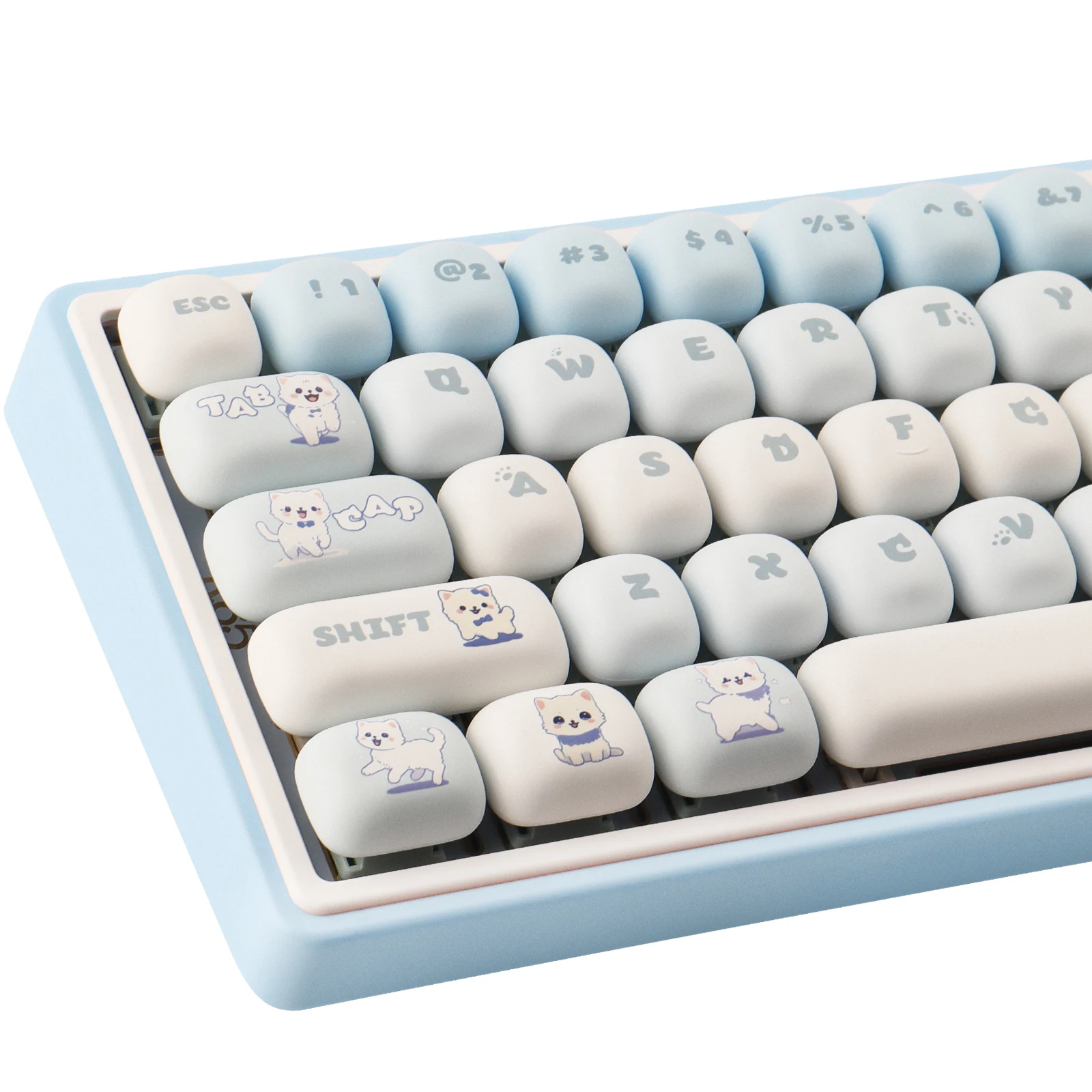 

143 keys of the Blue Kitten Keycaps PBT Dye-Sublimated MOG Profile For Mechanical Keyboard