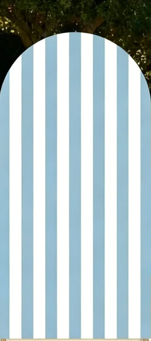 Custom 2-Side Silly Goose Baby Shower Arch Backdrop Cover Blue White Striped Grid Birthday Party Decor Backdrop Photo