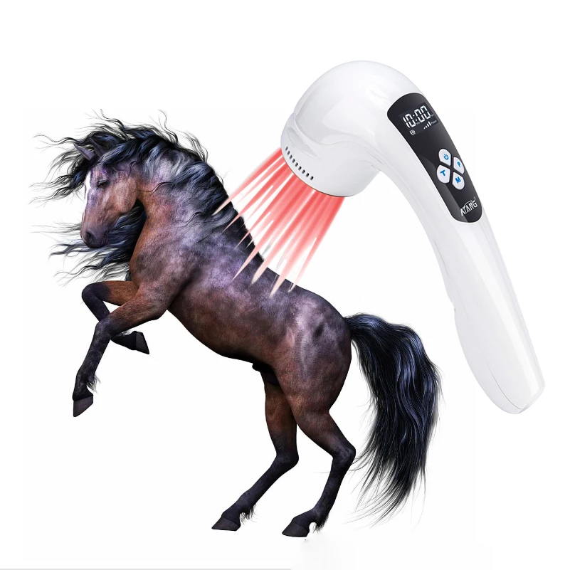

Factory Custom 650nm 808nm Infrared Red Light Therapy Laser Veterinary Healthcare Instrument Equine Pet Animals Dogs Horses Pain