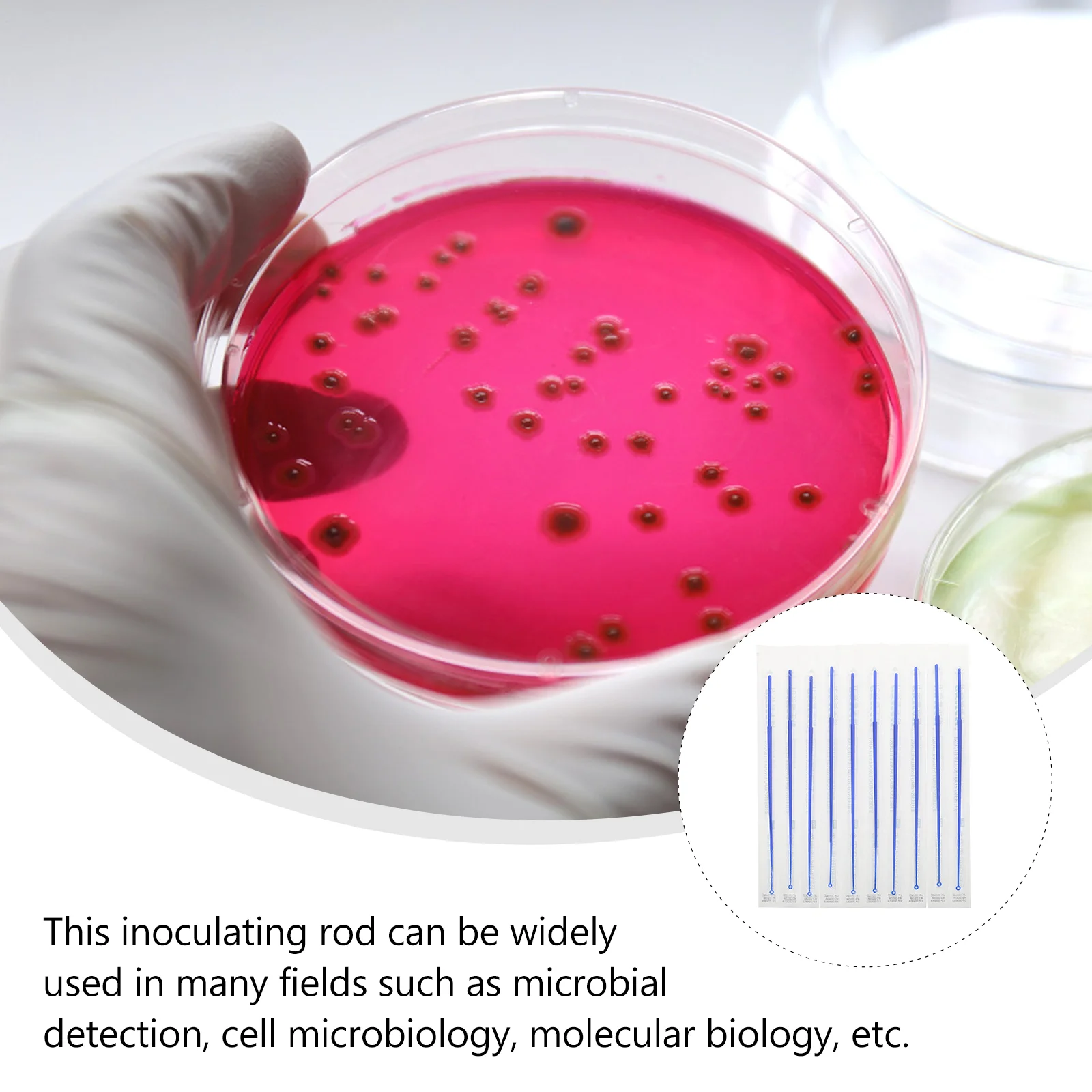 Imagem -03 - Componente da Ferramenta do Dispositivo do Laboratório Laço da Inoculação Microbiologia Haste os Quadris 20 Peças