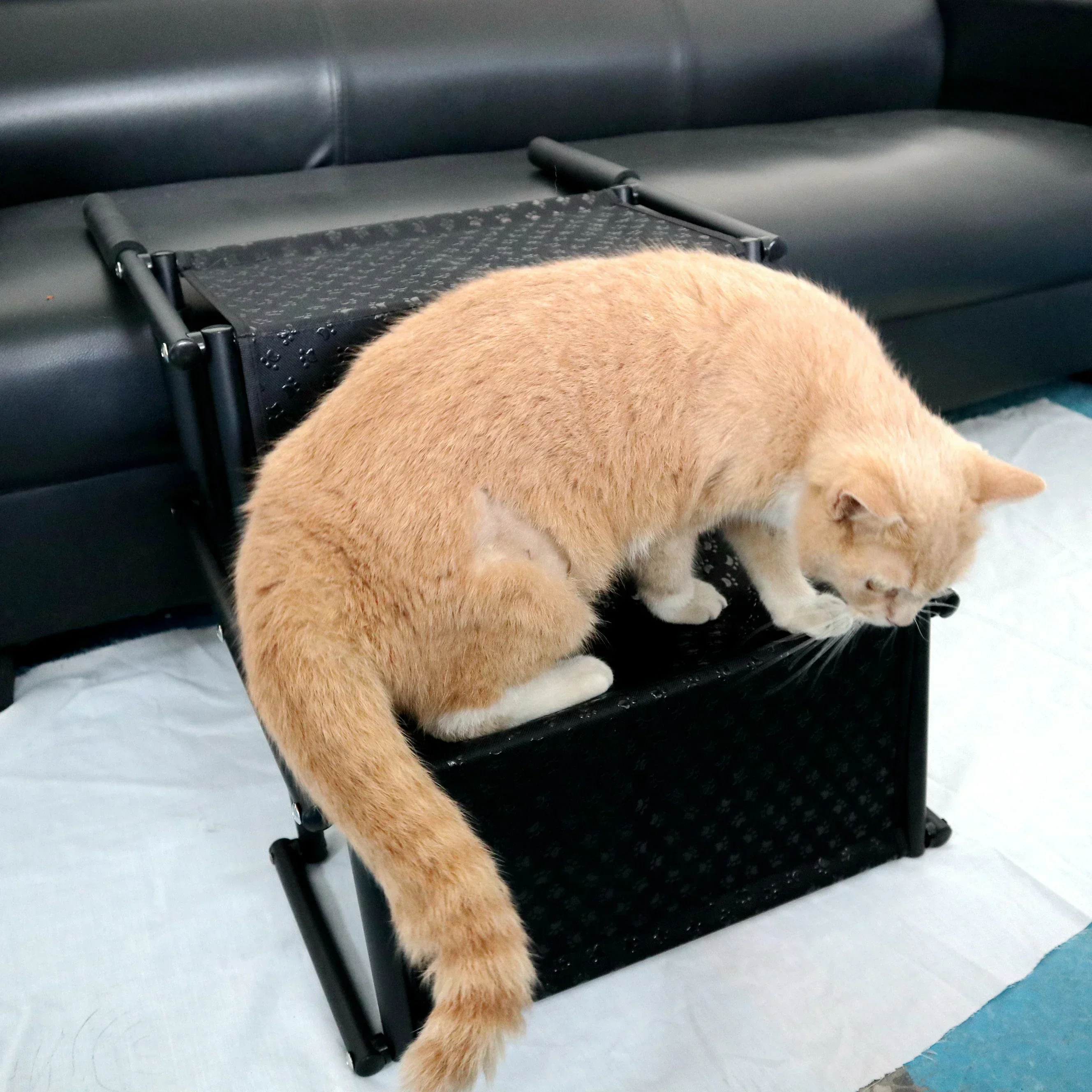 

Pet Ladder Folding Dog Ladder Outdoor Car Mounted Dog Staircase Shower Rack Car Pet Ladder Pet Supplies Newest