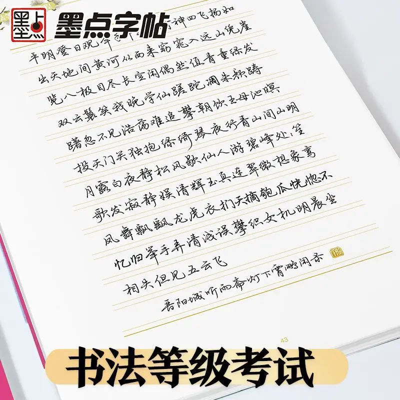 Calligraphy level exam practicing calligraphy, adult regular script, running script, clerical script, fountain pen calligraphy