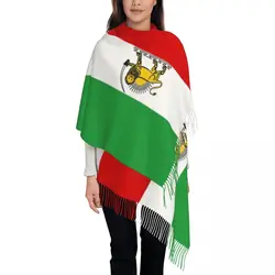Flag Of Iran Shawl Wrap for Womens Winter Large Long Scarf Iranian Reversible Shawl Scarves