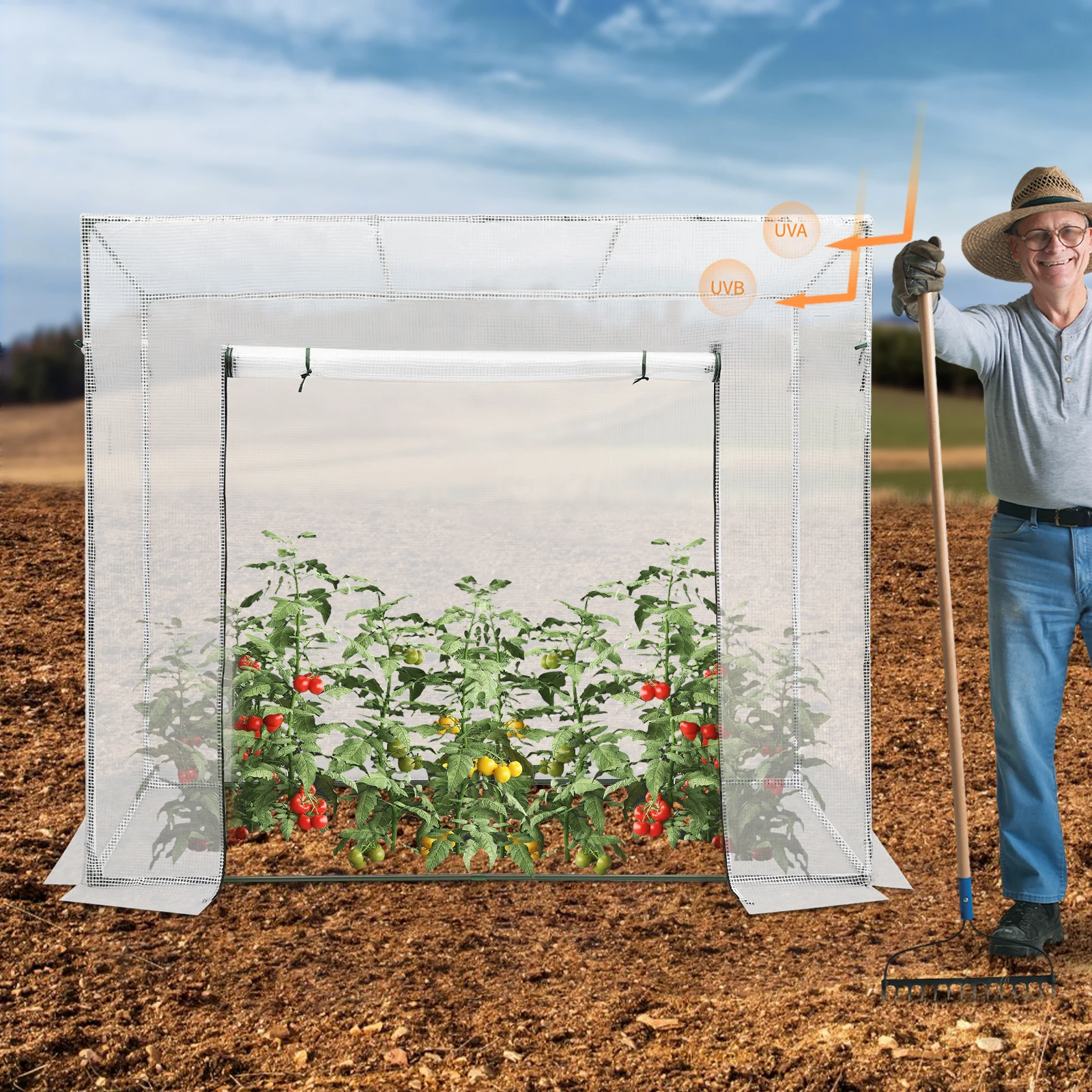 Outdoor Plant Greenhouse with Window Sturdy Tilted Roof Design Burr-Free Edges 200x77x170 cm (78.74x30.31x66.93 In)