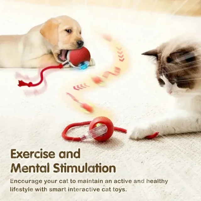 Cat Interactive Ball Toy, Automatic Rolling Ball with Tail, Rechargeable Smart Pet Interactive Toy, Intelligent Mouse for Cat 4 Cat Interactive Ball Toy, Automatic Rolling Ball with Tail, Rechargeable Smart Pet Interactive Toy, Intelligent Mouse for Cat 4
