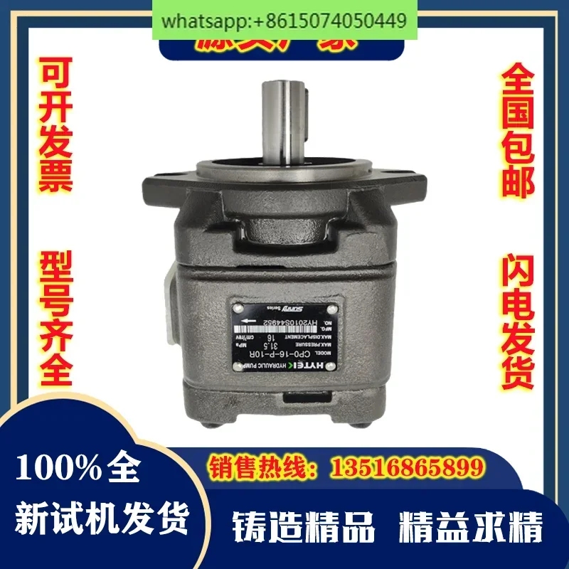 

Внутренний шестеренный насос Hytek HG2-80/100/125/160-01R-VPC Сервомасляный насос SUNNY