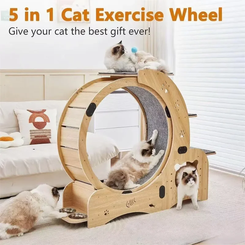 Eco Friendly Wooden Cat Roller Toy Silent Indoor Interactive Exercise Wheel Small Pet Crawling Frame with Box Packaging for