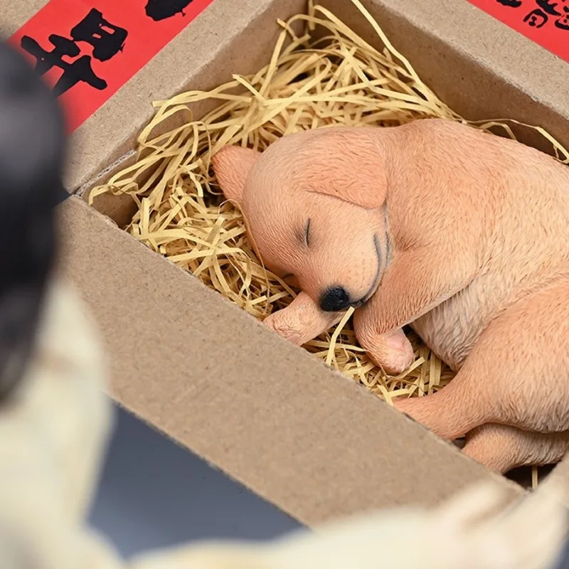 Sleeping Labrador model, puppies, puppies, animals, surrounding tide play gifts, healing tabletop figures