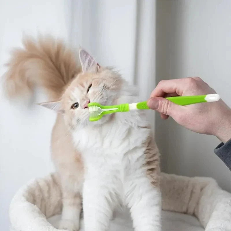 Pet Toothbrush Kit Dental Care Three Heads Dog Toothbrush Finger Toothbrush Teeth Care Dog Cat Cleaning Mouth Dog Toothbrush Kit