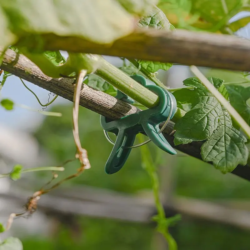 Image 6: 20 pinces réutilisables pour la fixation des tiges de plantes, supports pour semis de fleurs et de vigne en serre, accessoires de jardin ﻿