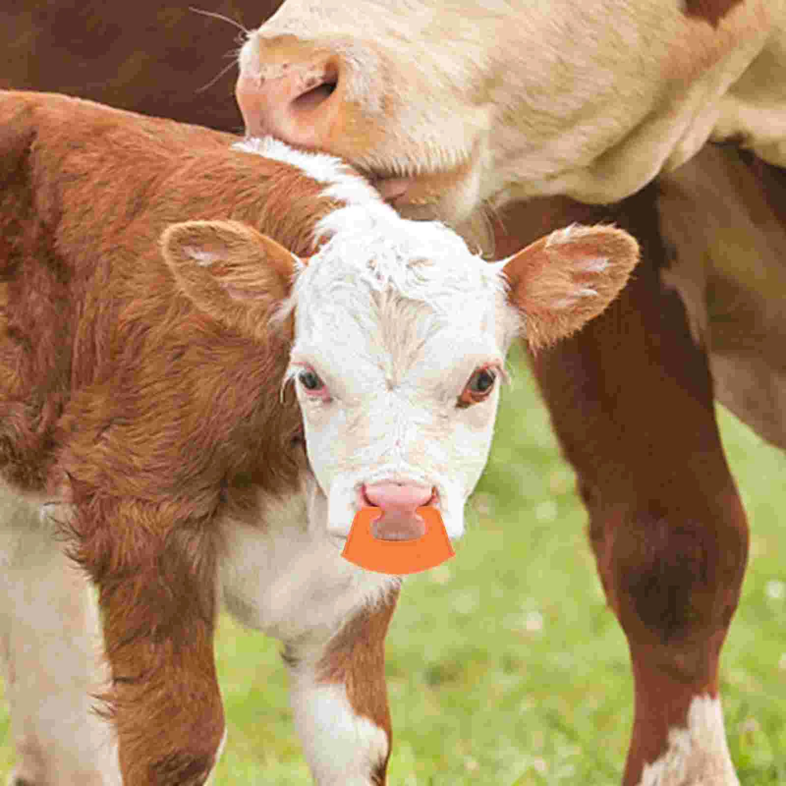 10 ชิ้นหัวเข็มขัดน่อง Weaner แหวนจมูกวัวคลิปอุปกรณ์เสริม Pp พลาสติกหย่านมเครื่องมือ
