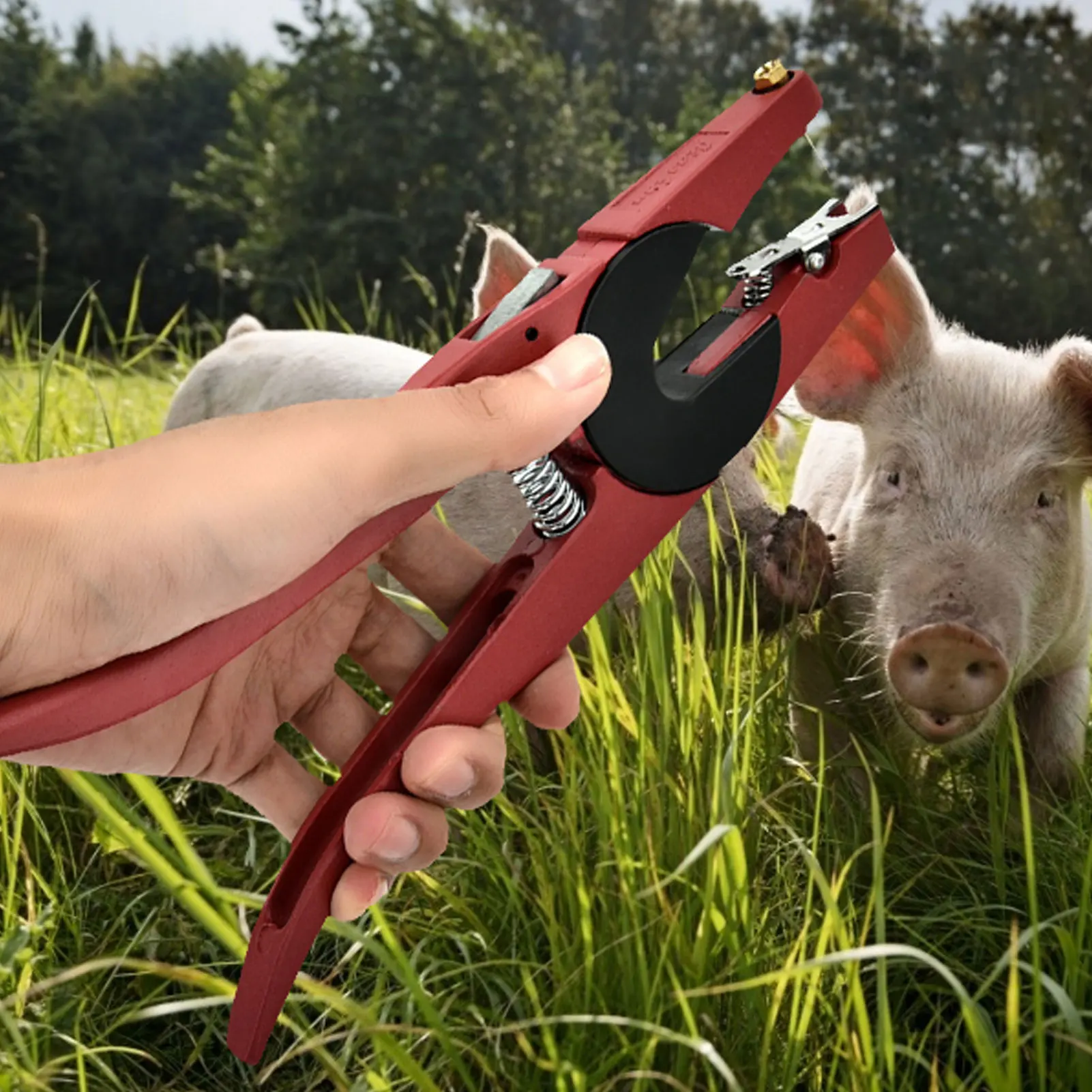 Ear Tagging Gun Livestock Ear Tag Plier Veterinary Marker Clamp Plier Forcep Applicator for Pigs Sheep Goats Cattles Cows