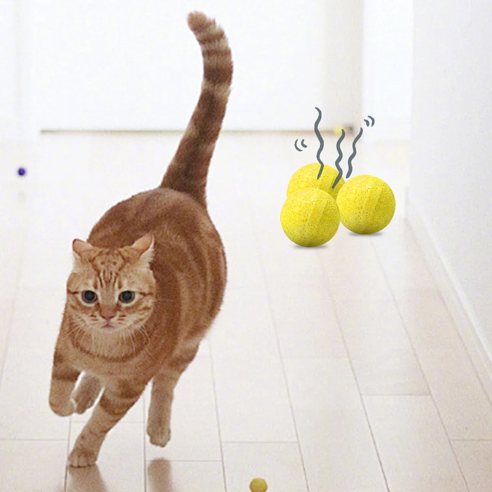 12Pcs Cat  Anti Cat Scratch Cat Deterrent To Keep Feral Cats Stray Dogs Out of Yard