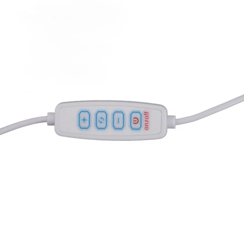 LED Vanity Lights With 10 Dimmable Bulbs USB Adjustable Color And Brightness Mirror Lights For Makeup Dressing Room