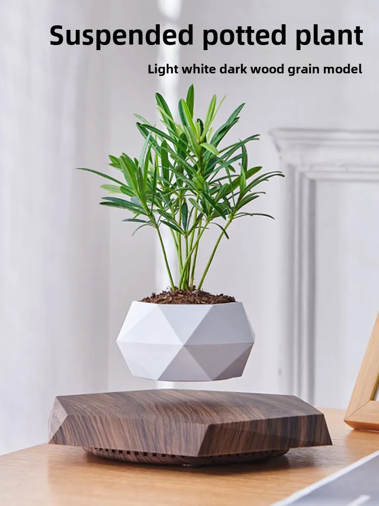 Maglev ornamento soggiorno ufficio desktop luce lusso piante in vaso di fascia alta bonsai creativo tecnologia nera articoli per la casa