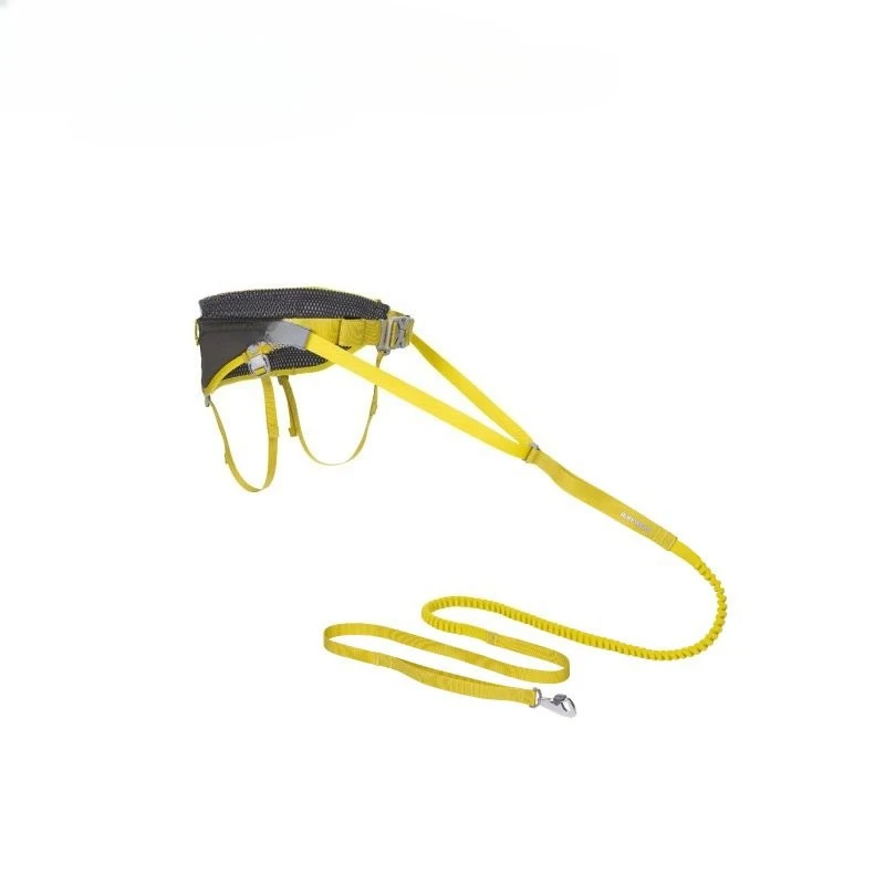 Outdoor sports system Dog leash Medium and small dog leash