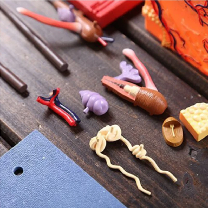 Human Skin Model Detachable DIY Assembling Anatomical Model 4D MASTER Human Skin Structure Model 19 PCS Teaching Tool Supplies