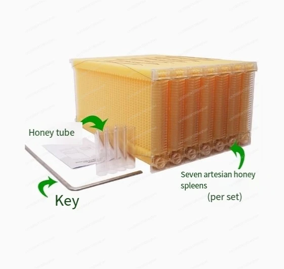 Self Flowing Hive Frames Automatic Extraction Boxes Honey Spleen Plastic  Honey Hive Frames Beehives