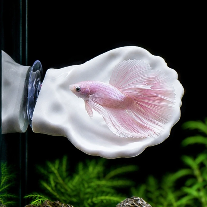 Realistic White Shell Resting Platform With Strong Suction Cup Natural Resting Bed Bettas Fish Hammocks Shell Pad 37JD