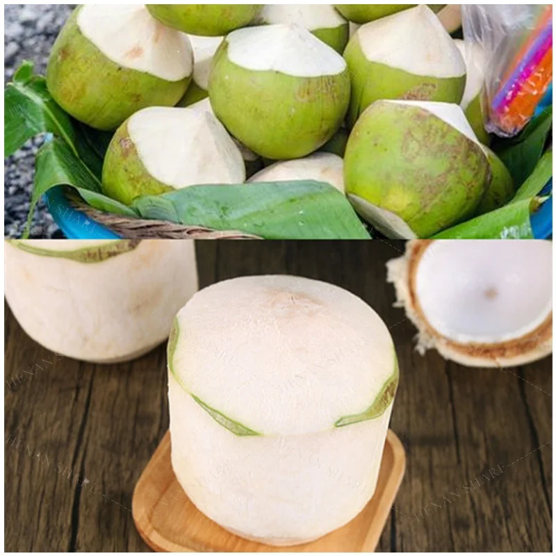 Máquina peladora de coco Manual, peladora de coco