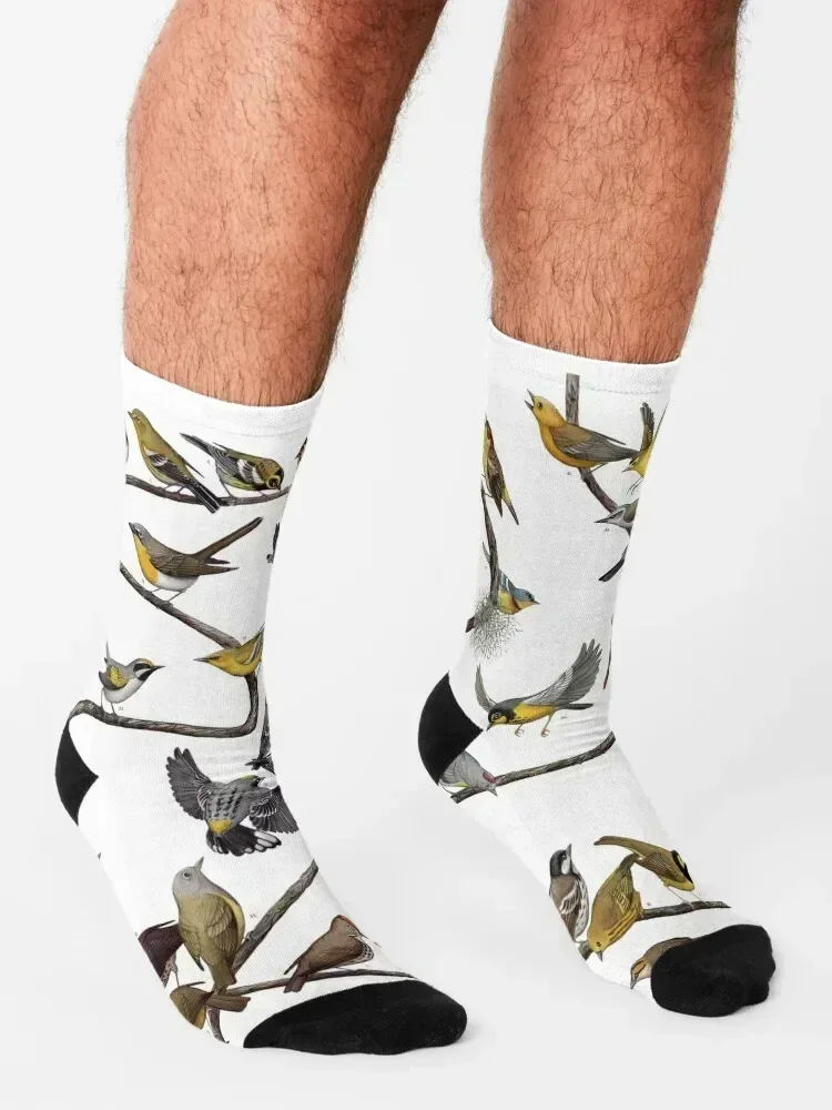 Warblers of New England Socks snow gifts Socks For Man Women's