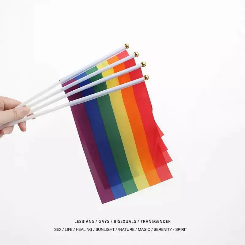 10/5pcs 14X21cm Holding Rainbow Flag LGBT Hand Waving Flag Gay Pride Gay Festive Home Decor Party