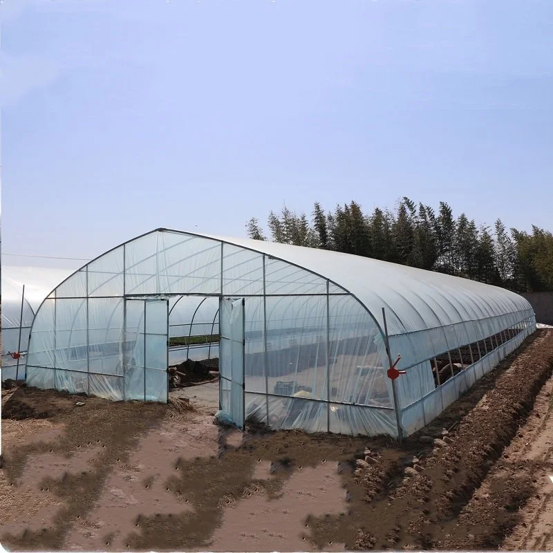 Rura ogrodnicza metalowa 8x30  – Agriculture Tomato Farming recenzja i cena