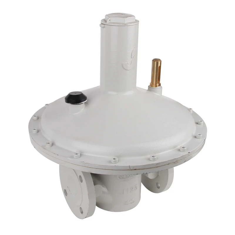 

Jeavons J123 LPG Boiler Self-Operated Regulator Industrial Pipeline Flange Low Pressure Reducing Valve DN50