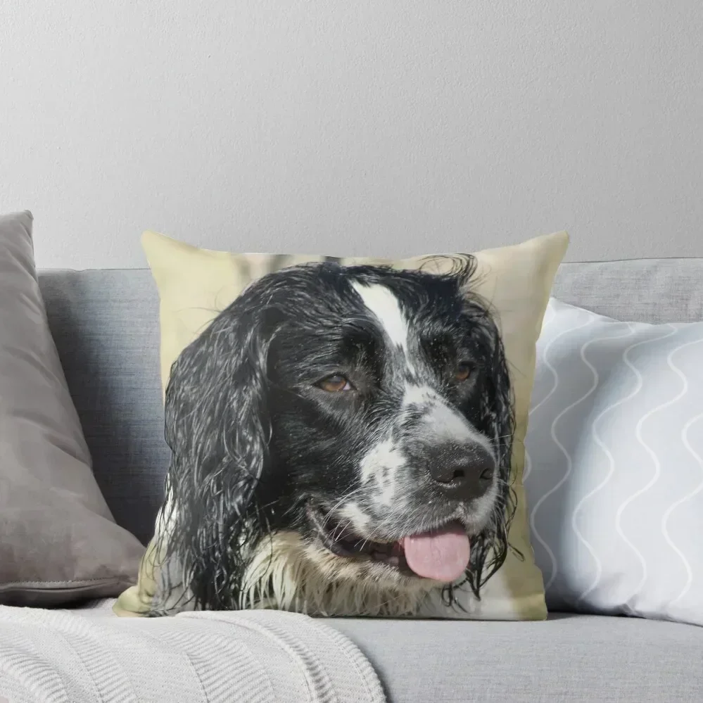 Sprocker Spaniel Throw Pillow Pillows Aesthetic Decorative pillowcase Sofa Cushions Cover pillow