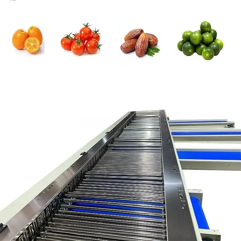 Multi-functional Fruit Sorting Machine Automatic Sorter