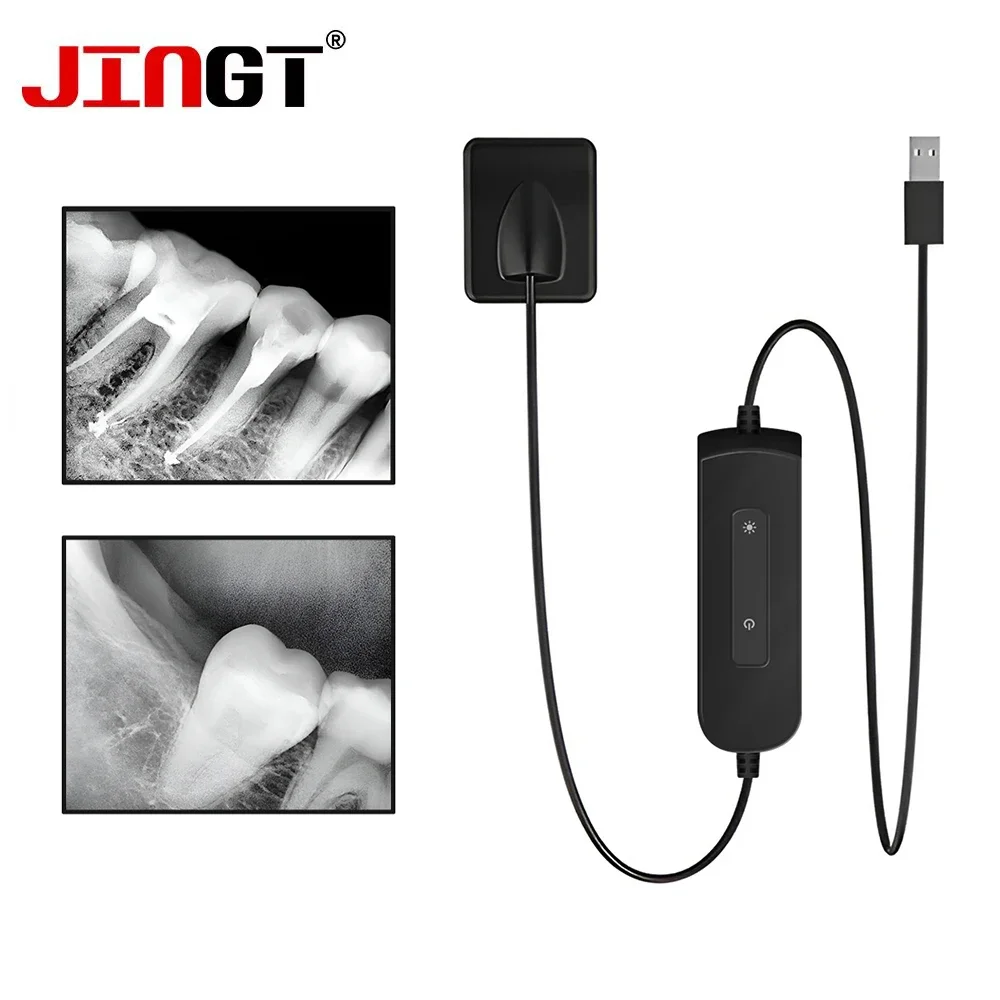 JINGT Dental Sensor X-Ray High-Frequency Rx Digital Intraoral Digital System H D Image Radiovisografo Dental Digital Sensor