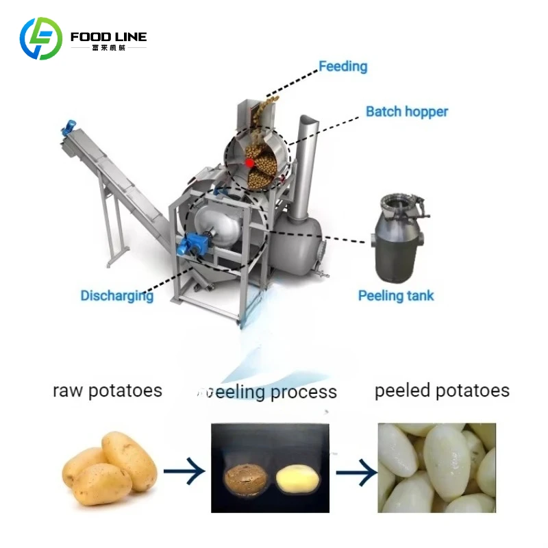 Customizable Fruit and Vegetable Steam Peeling Machine Wide Applicability