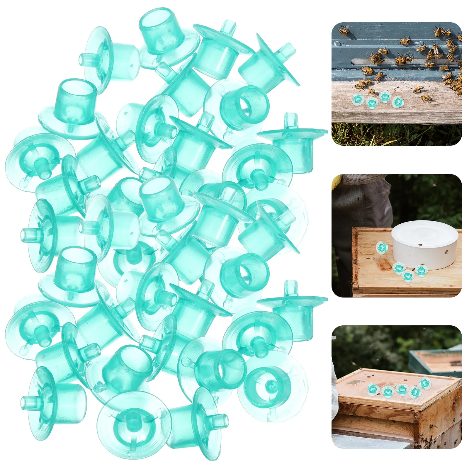 

100Pcs Bee Breeding Cups Rearing Cells Laying Safe Material Beekeeper Supplies Bee Breeding Cups Beekeeping Tools