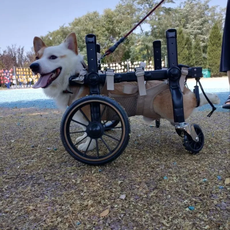 

Dog Wheelchair for Rehabilitation & Mobility, Support for Disabled, Senior & Large Breed Dogs | Regain Freedom & Hope