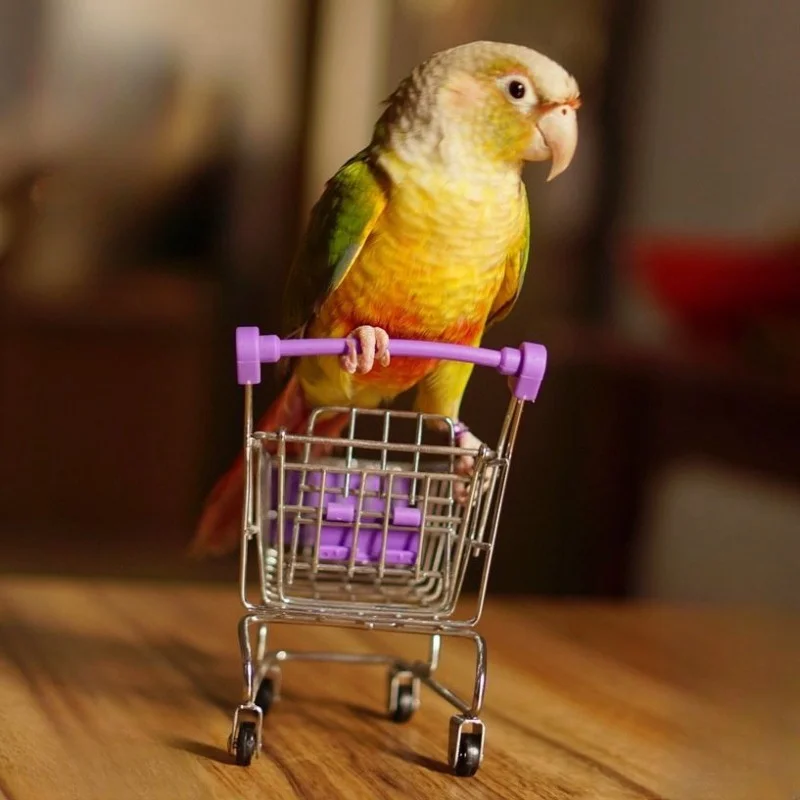 1 pc Random Color Parrot Mini Shopping Cart Toy for Bird Parrot Funny Alloy Bird Training Cage Accessories