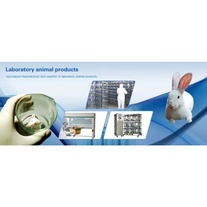 Stainless Steel Laboratory Breeding Cage Model RB85 Experiment Cage for Small Animal Feeding