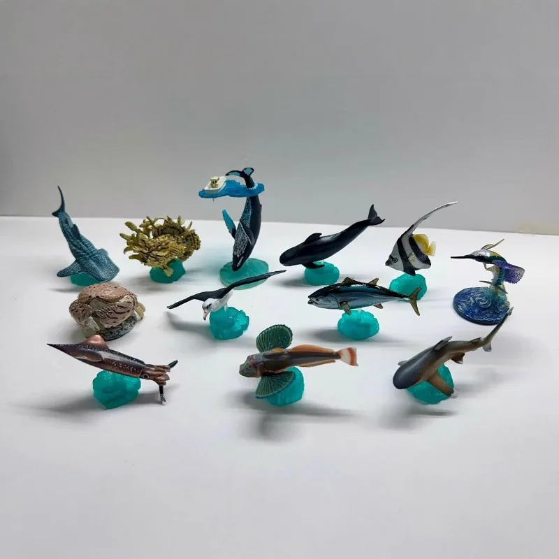 Japan Gashapon Figure Anime Cute Marine Life Series Whale Humpback Bottle Cap Model Action Figurine Capsule Toys Box Gift