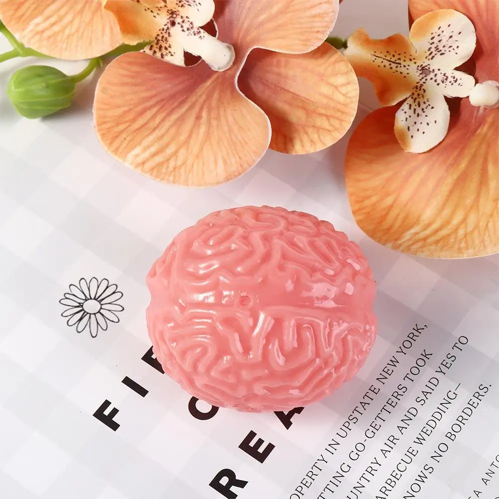 Simulation Brain Simulation Brain Fidget Squeeze TPR Squeeze Ball Toys Novelty Doll Funny Squeeze Stretching Ball Holiday Gift