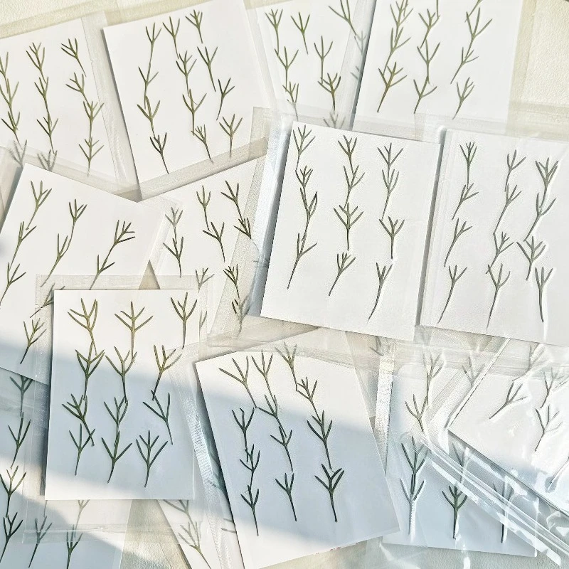 24 pezzi, Foglie di Achillea P - Dried Flower Bookmark recensione e prezzo