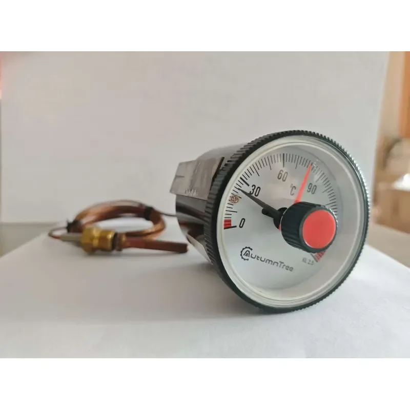 Expansion Thermometer Micro Switch Thermometer