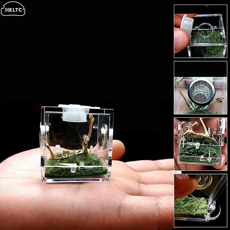 Acrílico Aranha Réptil Terrário, Insect Breeding Box, Insect Box, Cricket, Caracol, Tarântula Acessórios, S, M, L